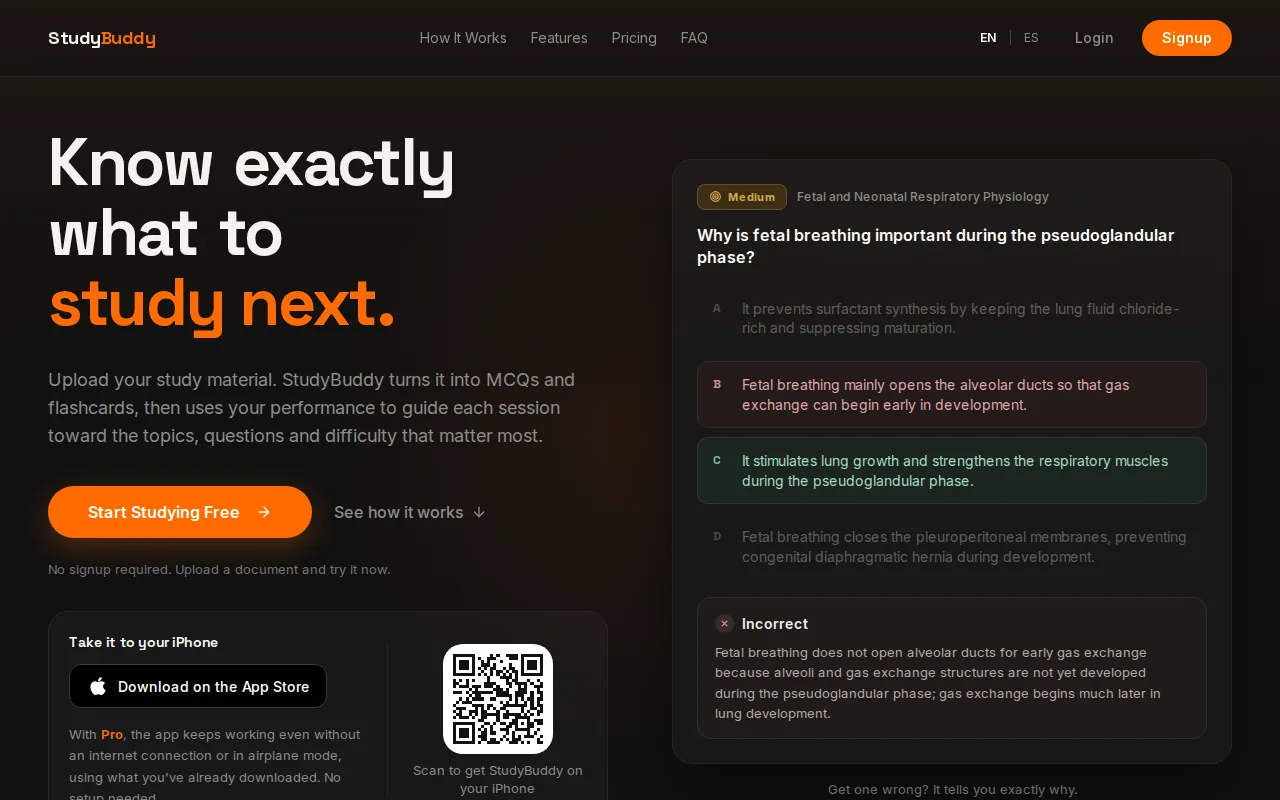 Screenshot of the StudyBuddy website